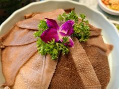 -额尔敦传统涮(公园西路店)