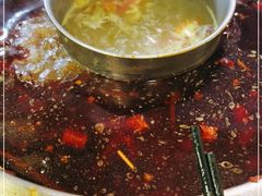 -金鼎雪山牦牛杂火锅(理县总店)