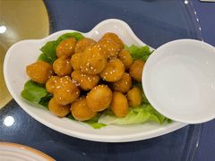 -金龙寨(龙城路店)