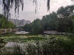 -文瀛公园