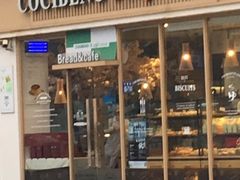 -卡滋贝诺动物奶油生日蛋糕(亚太潮尚店)