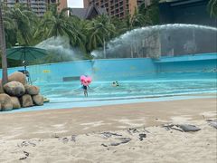 -亚马逊丛林水乐园