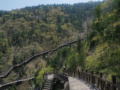 -皇藏峪国家森林公园