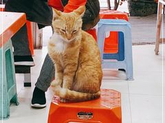 -富记鱼蛋粉(西村店)