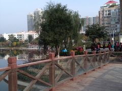 -雁滩公园