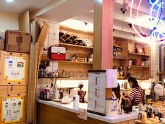-滚猫咖啡·猫咖·猫友好撸猫(未来城店)