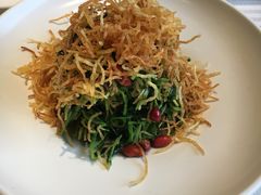 巧拌豆苗-四季民福烤鸭店(王府井灯市口店)