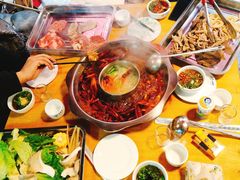 -金鼎雪山牦牛杂火锅(理县总店)