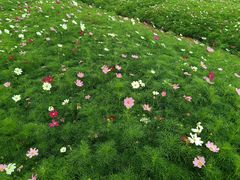 -山明水秀大饭店