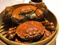 大闸蟹-蟹榭(静安寺晶品商场店)