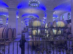 -北京张裕爱斐堡酒庄
