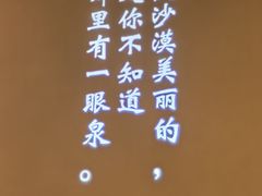 -小董哥烤串(金水花城店)