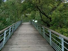 -西湖风景区-江洋畈生态公园