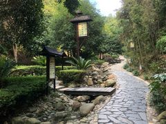 -明月山天沐温泉度假村