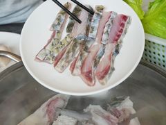 -正能量脆肉鲩火锅