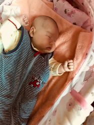 -龙文宝贝上门婴儿理发满月剃胎毛(总店)
