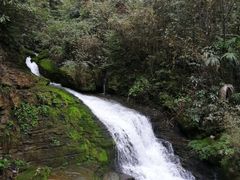 -鹿院坪生态旅游景区
