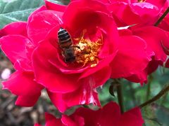 -白塘生态植物园