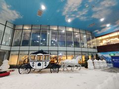 -世界之窗阿尔卑斯冰雪世界