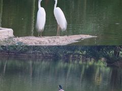 -海南热带野生动植物园