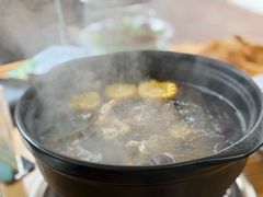-芭厘农庄老字号·清远鸡