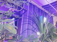 -bluefrog蓝蛙(皇庭广场店)
