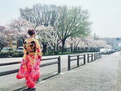 -樱京和服租赁体验(京都总店)