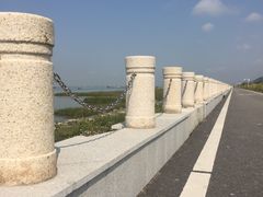 -芒洲湿地公园