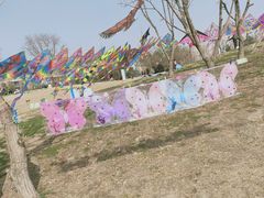 -两河城市森林公园