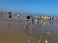 -日照海滨国家森林公园