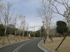 -牛岗山公园