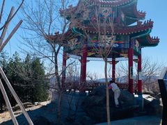 -白水寺森林公园