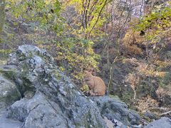 -终南山南五台景区