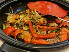 -欢乐海岸美食联盟