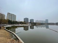 -南翔镇银翔湖公园