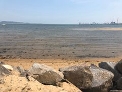 -莫内艺术岛海景咖啡