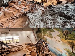 -自贡恐龙博物馆