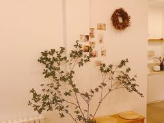 -团子君寿司·茶
