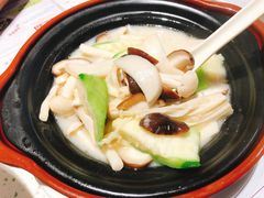 浓汤杂菌煲-新宝餐厅(流塘店)