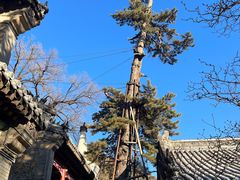-潭柘寺景区