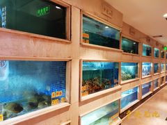 水产区-顺峰(农展馆店)