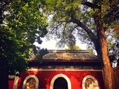 -北京艺术博物馆(万寿寺)