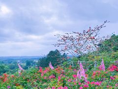 -海南文笔峰盘古文化旅游区