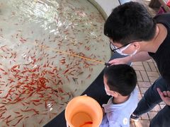 -杭州少年儿童公园