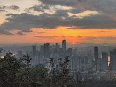 -南山植物园