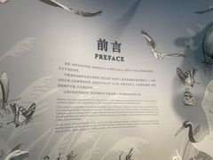 -中国湿地博物馆