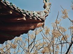 -长春观
