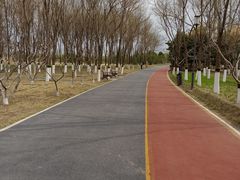 -大兴滨河森林公园