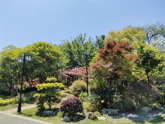 -红梅公园