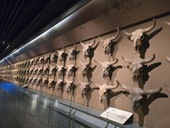 -大庆市博物馆